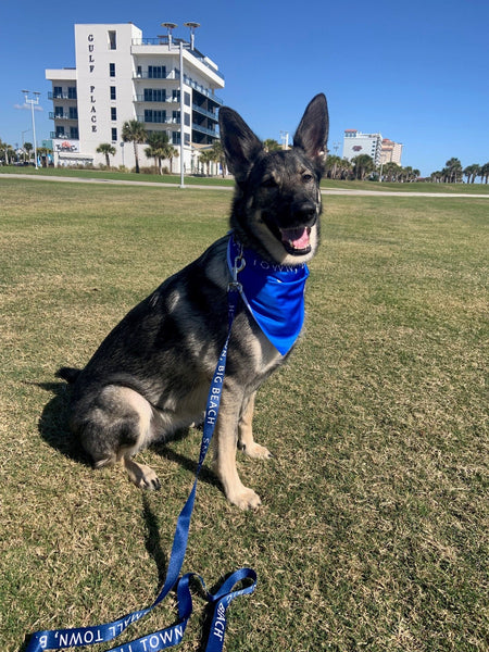 SMALL TOWN, BIG BEACH™ Dog Bandana