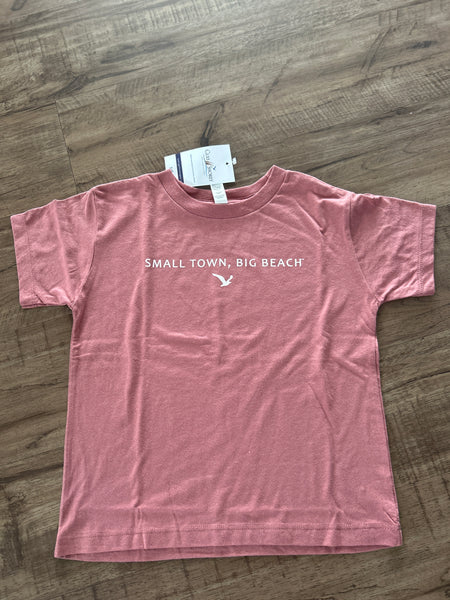 Classic STBB Toddler T-Shirt