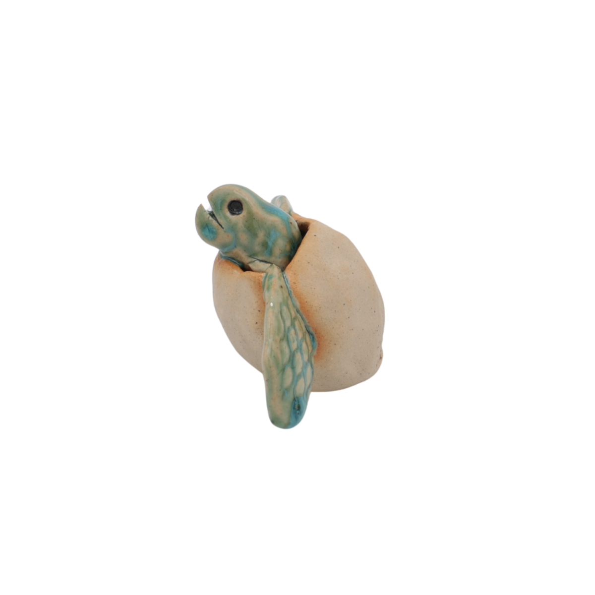 Handmade Baby Turtles