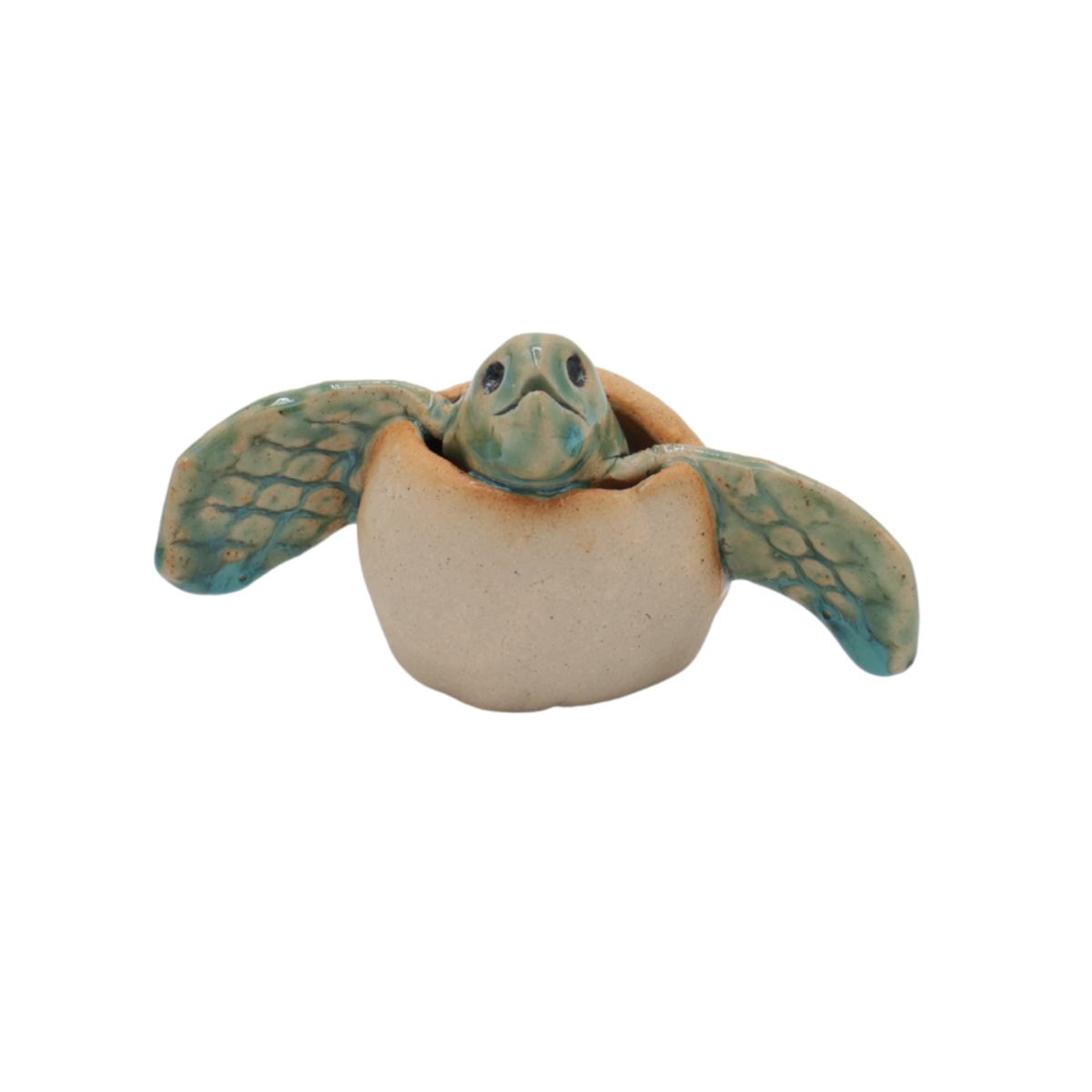 Handmade Baby Turtles