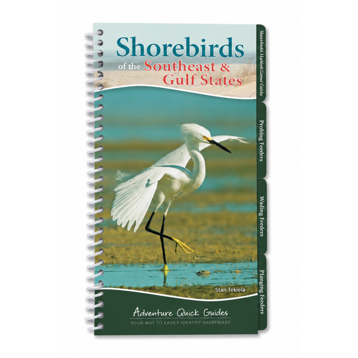 "Shorebirds of the Southeast & Gulf States"