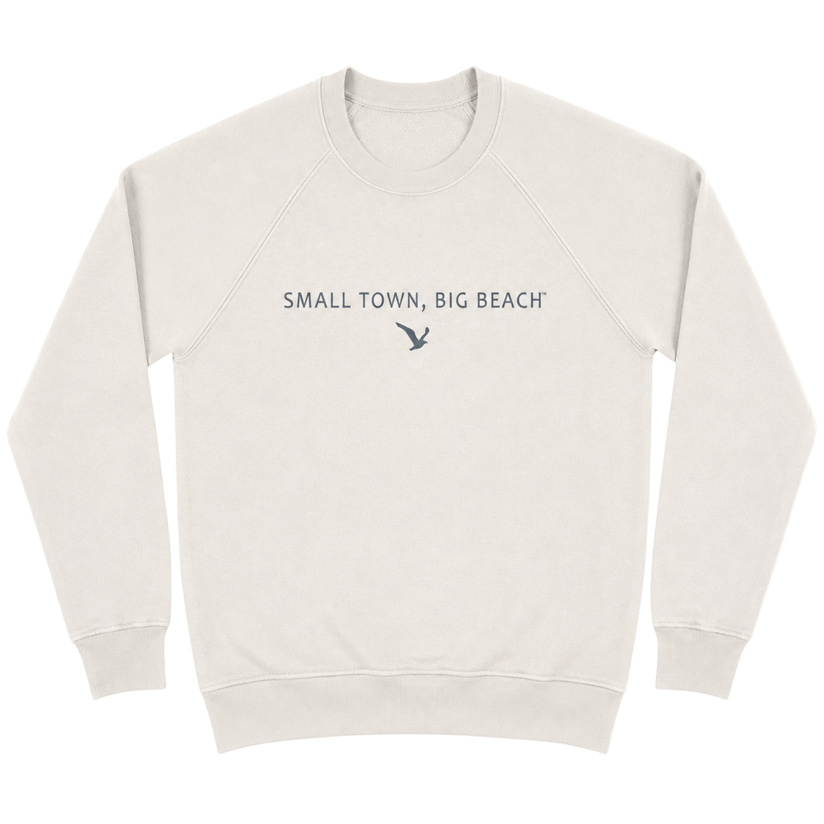 STBB Sweatshirt