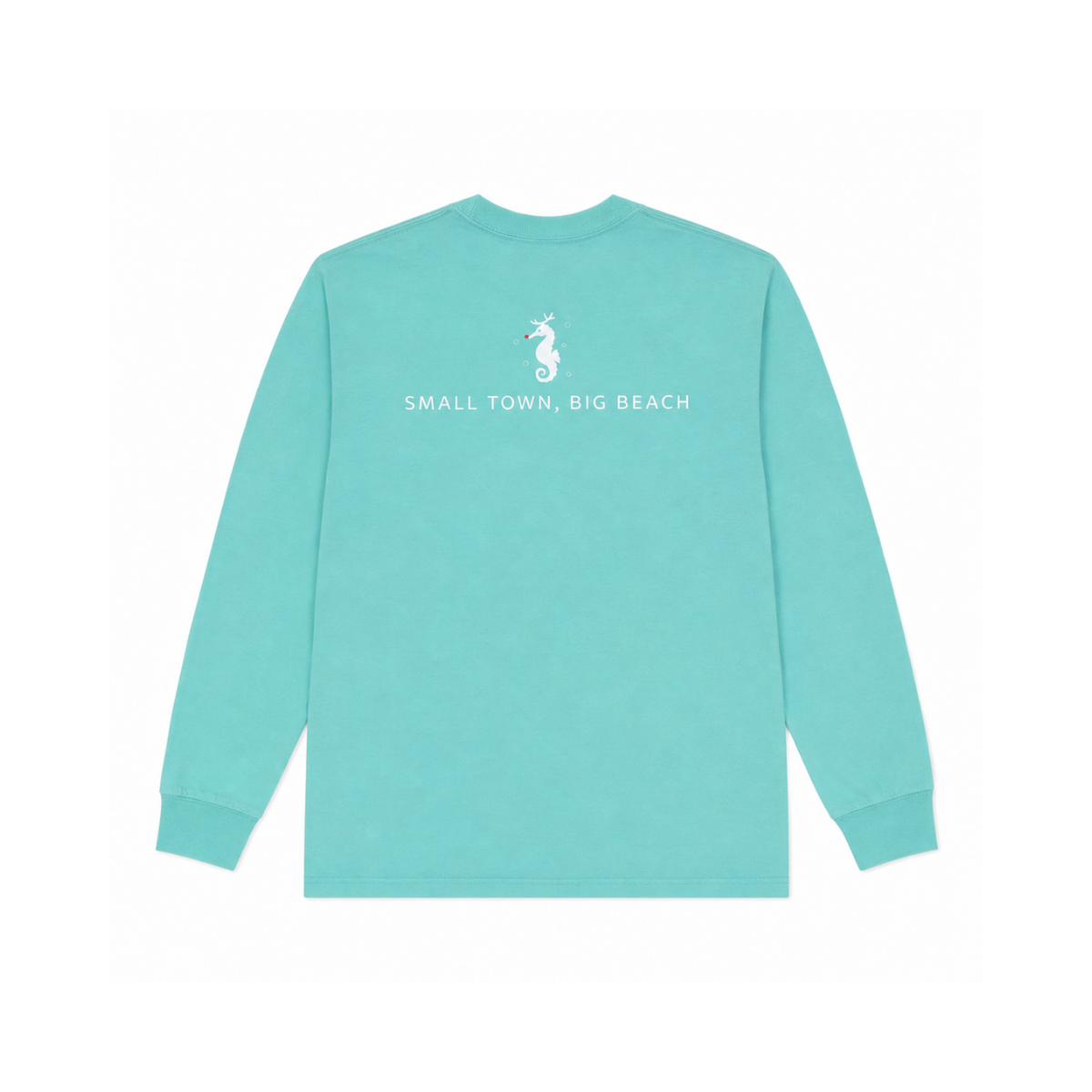 2024 Christmas Seahorse Long Sleeve Shirt-Youth