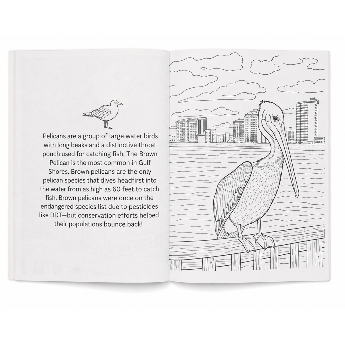 Gulf Shores Alabama Coloring Book