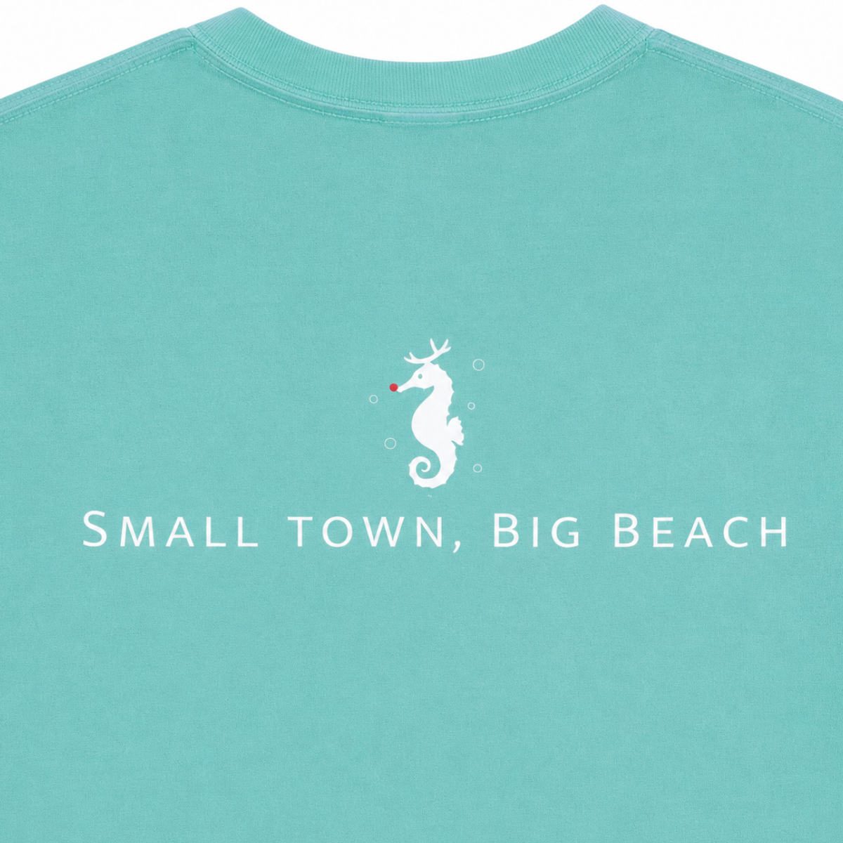 2024 Christmas Seahorse Long Sleeve Shirt-Youth