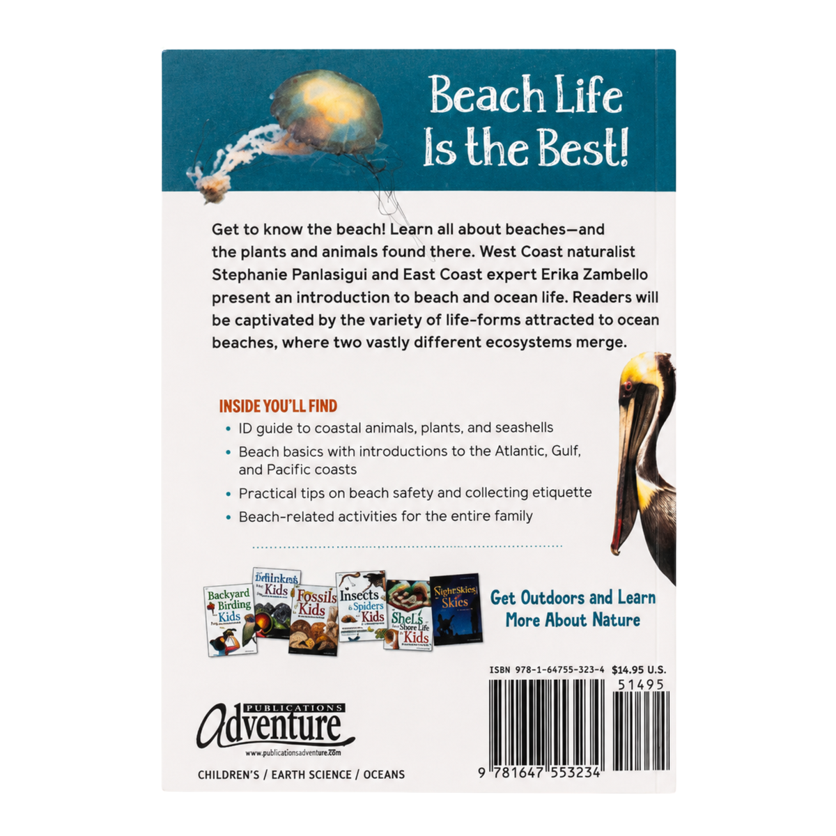 "Seashells & Beachcombing for Kids"