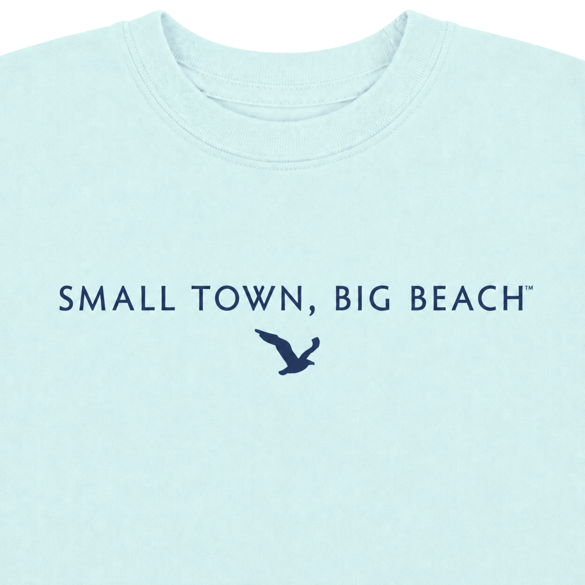 STBB Classic Toddler T-Shirt