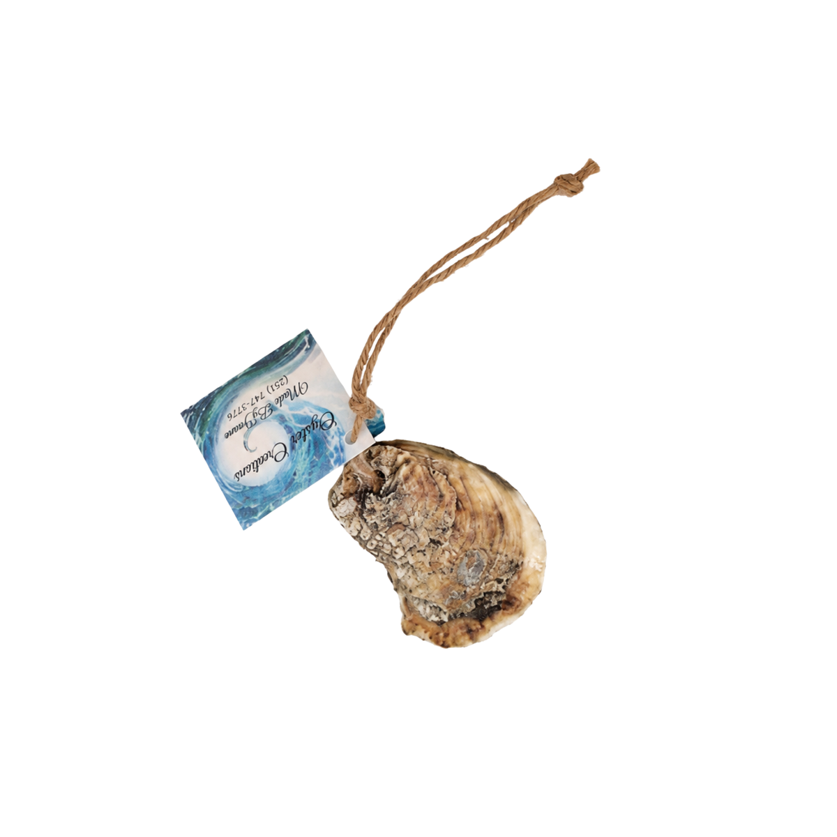 Map Oyster Ornament