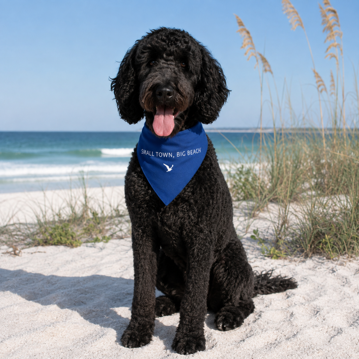STBB Dog Bandana