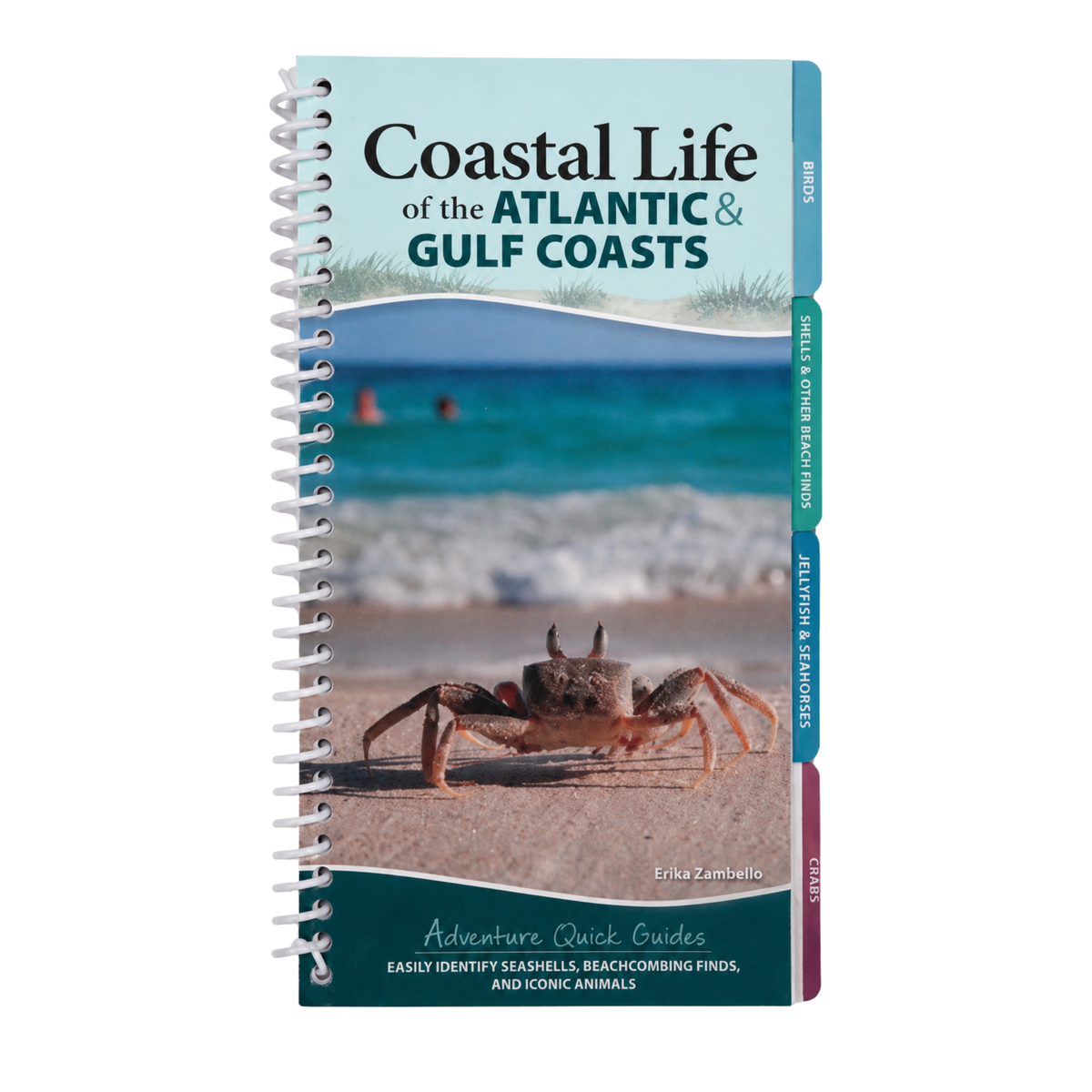 "Coastal Life of the Atlantic & Gulf Coasts"