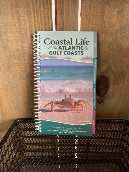Coastal Life Of The Atlantic & Gulf Coasts