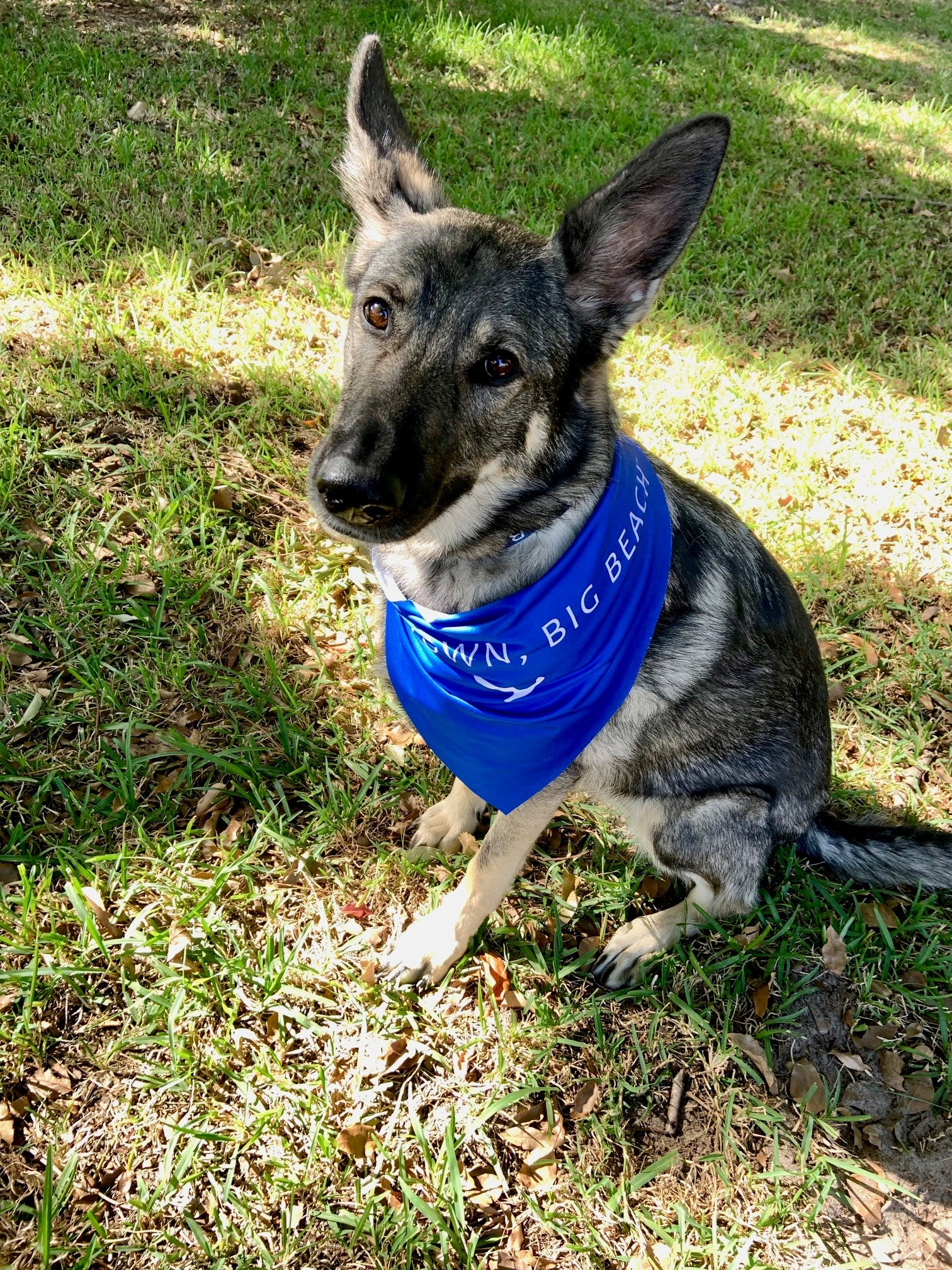 SMALL TOWN, BIG BEACH™ Dog Bandana