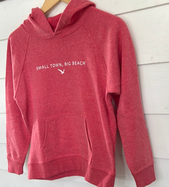 Youth Hooded Sweatshirt