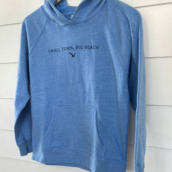 Youth Hooded Sweatshirt